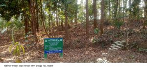 টাঙ্গাইলের ঘাটাইলে ধ্বংস হচ্ছে বন পশু-পাখি বিলুপ্ত