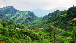 কেএনএর আস্তানায় সেনা অভিযান, নিহত ২